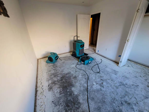 Best Water damage cleanup near me  in Nuevo, CA