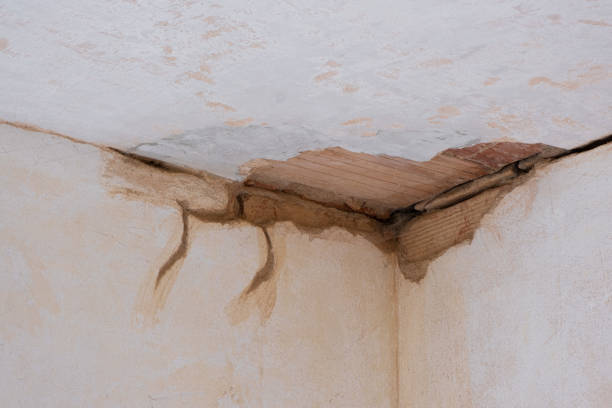 Best Emergency water damage restoration  in Nuevo, CA