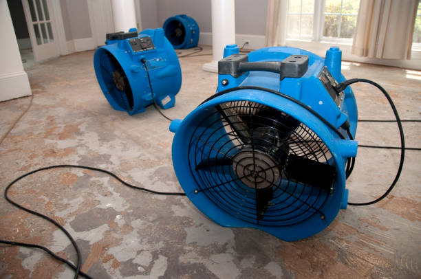 Best Basement water damage restoration  in Nuevo, CA