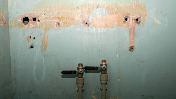 Best Flood damage cleanup  in Nuevo, CA
