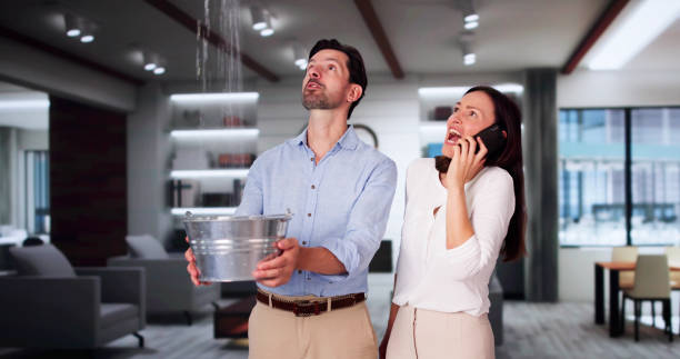 Best Water damage restoration near me  in Nuevo, CA