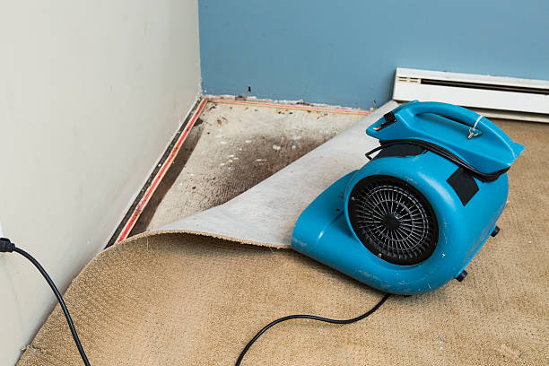 Carpet water damage restoration in Nuevo, CA